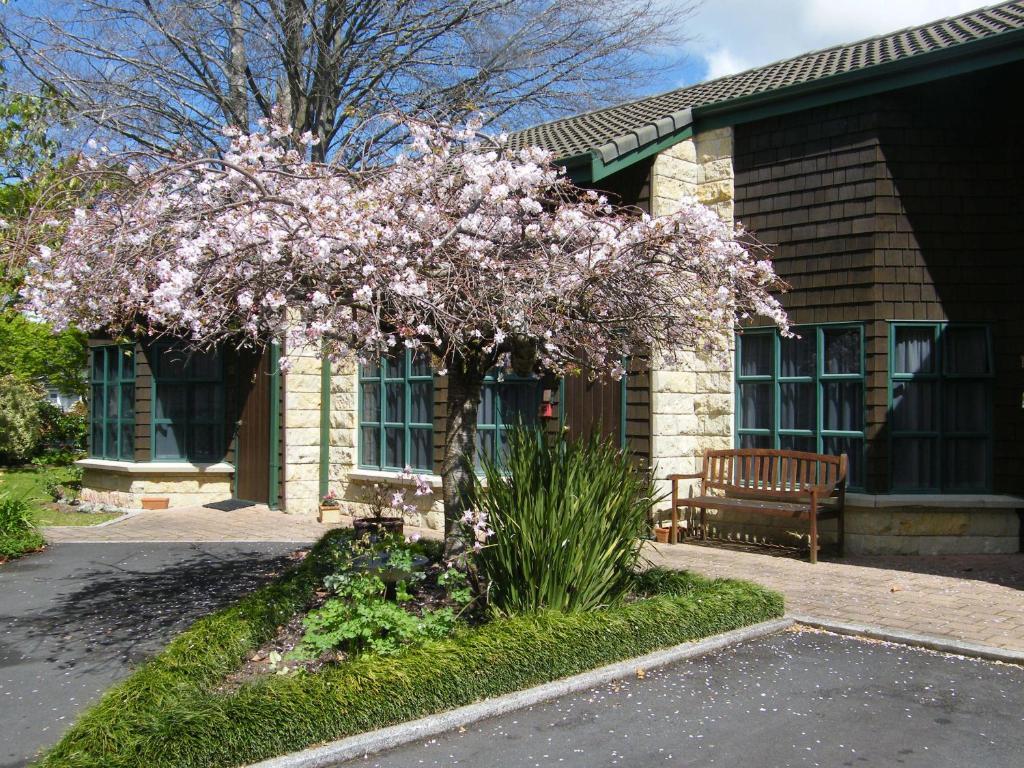 Cambridge Mews Motel Extérieur photo